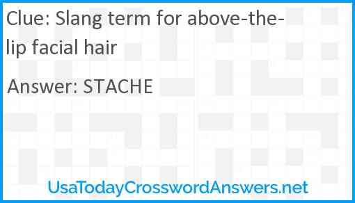 Slang term for above-the-lip facial hair Answer