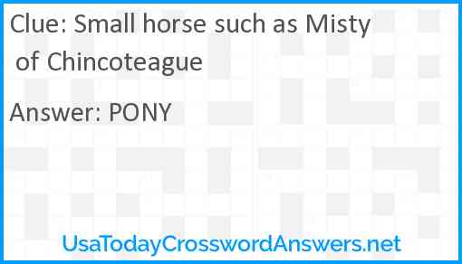 Small horse such as Misty of Chincoteague Answer