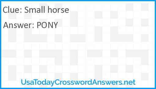 Small horse Answer
