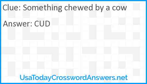Something chewed by a cow Answer