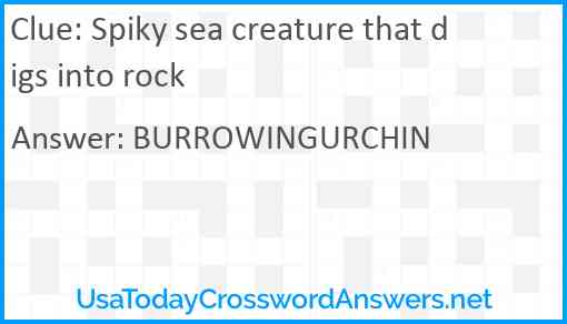 Spiky sea creature that digs into rock Answer