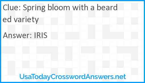 Spring bloom with a bearded variety Answer