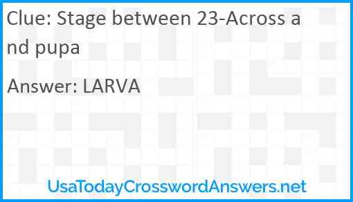 Stage between 23-Across and pupa Answer