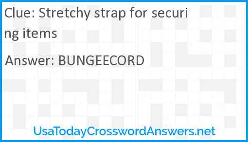 Stretchy strap for securing items Answer