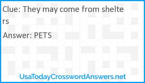 They may come from shelters Answer
