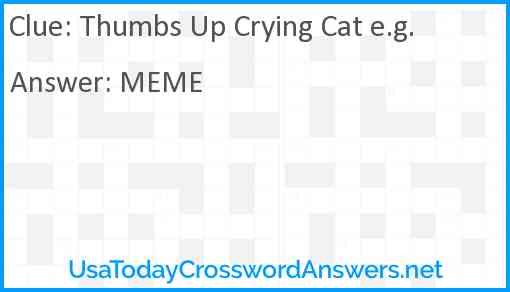 Thumbs Up Crying Cat e.g. Answer