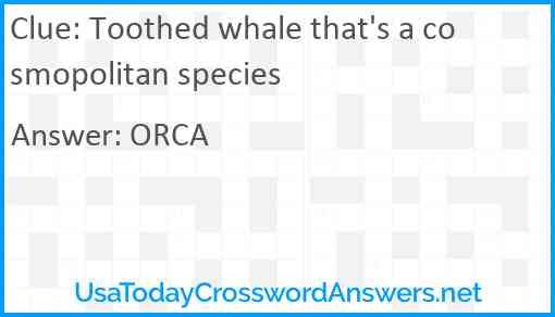 Toothed whale that's a cosmopolitan species Answer