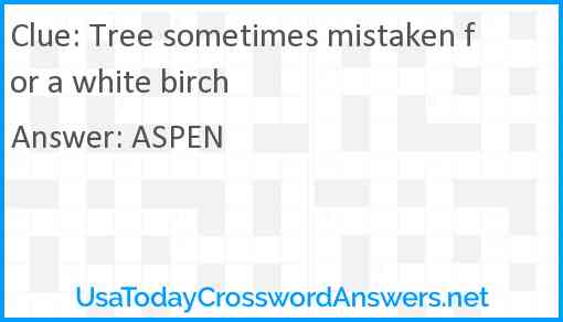 Tree sometimes mistaken for a white birch Answer