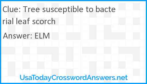 Tree susceptible to bacterial leaf scorch Answer