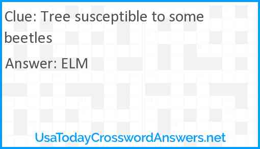 Tree susceptible to some beetles Answer