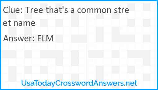 Tree that's a common street name Answer