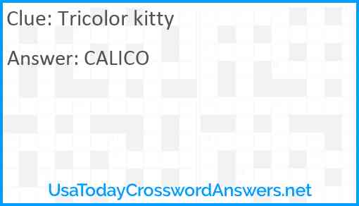 Tricolor kitty Answer