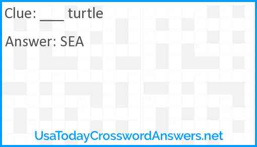 ___ turtle Answer