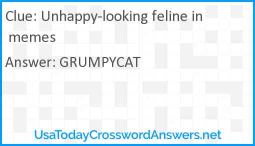 Unhappy-looking feline in memes Answer
