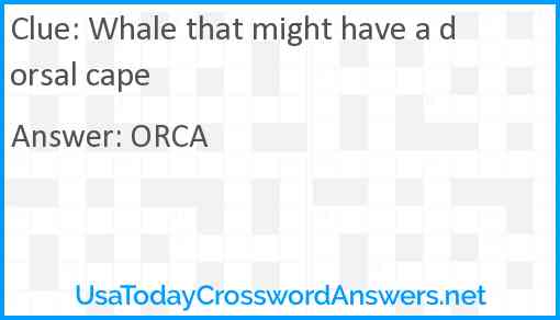 Whale that might have a dorsal cape Answer