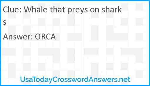 Whale that preys on sharks Answer