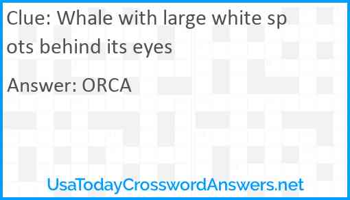 Whale with large white spots behind its eyes Answer