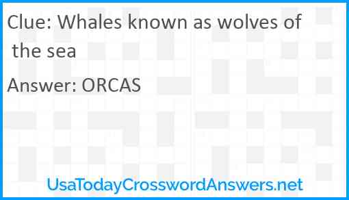 Whales known as wolves of the sea Answer