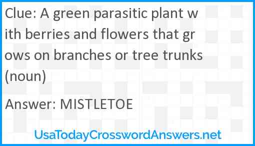 A green parasitic plant with berries and flowers that grows on branches or tree trunks (noun) Answer