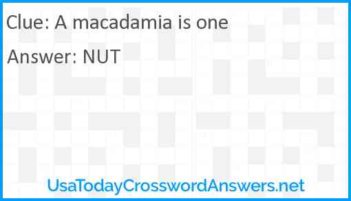 A macadamia is one Answer