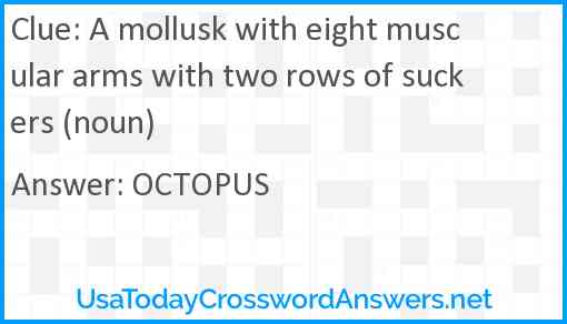 A mollusk with eight muscular arms with two rows of suckers (noun) Answer