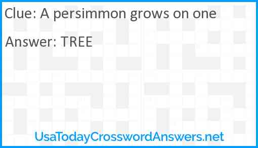A persimmon grows on one Answer