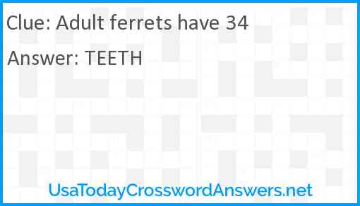 Adult ferrets have 34 Answer