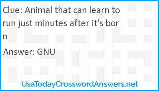 Animal that can learn to run just minutes after it's born Answer