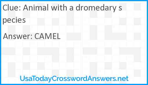 Animal with a dromedary species Answer