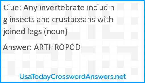 Any invertebrate including insects and crustaceans with joined legs (noun) Answer
