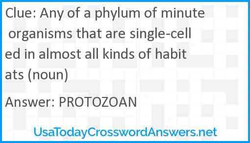 Any of a phylum of minute organisms that are single-celled in almost all kinds of habitats (noun) Answer