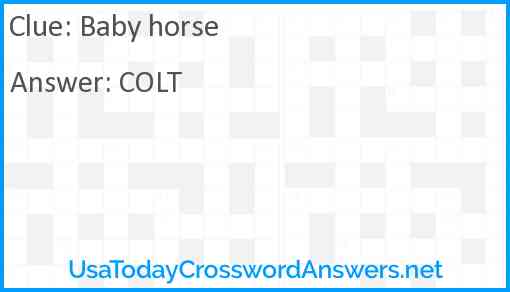 Baby horse Answer
