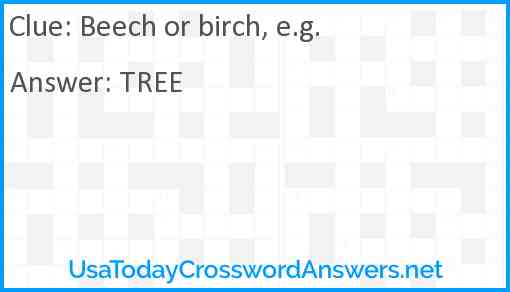 Beech or birch, e.g. Answer