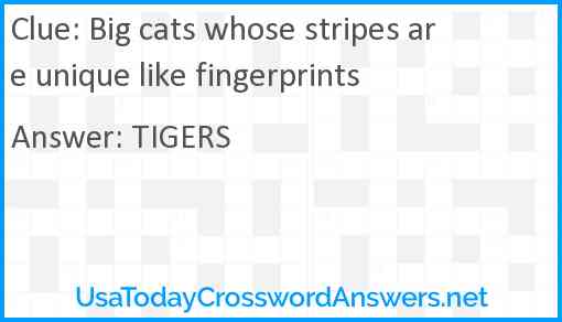 Big cats whose stripes are unique like fingerprints Answer