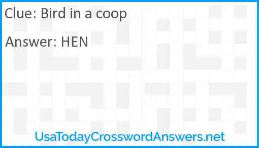 Bird in a coop Answer