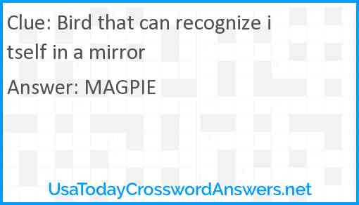 Bird that can recognize itself in a mirror Answer