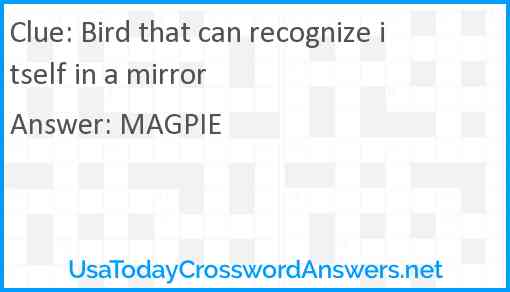 Bird that can recognize itself in a mirror Answer