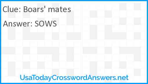 Boars' mates Answer