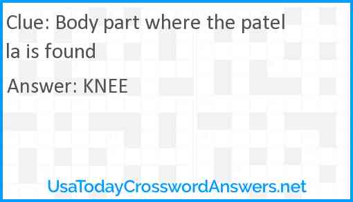 Body part where the patella is found Answer