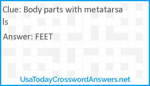Body parts with metatarsals Answer