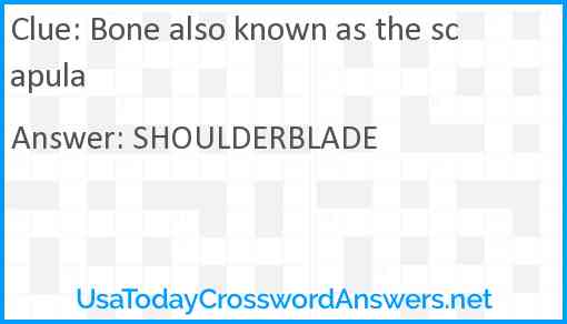 Bone also known as the scapula Answer