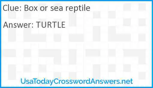 Box or sea reptile Answer