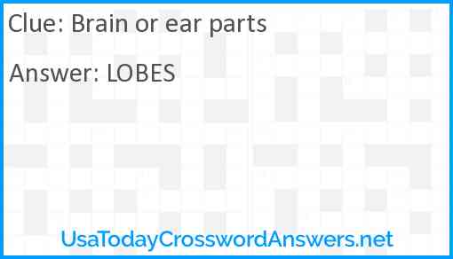 Brain or ear parts Answer