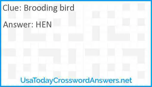 Brooding bird Answer