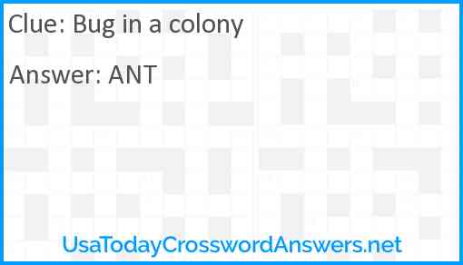 Bug in a colony Answer