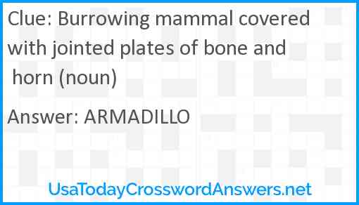 Burrowing mammal covered with jointed plates of bone and horn (noun) Answer
