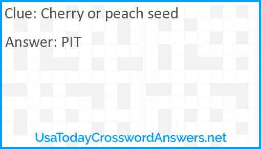 Cherry or peach seed Answer