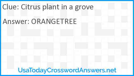 Citrus plant in a grove Answer