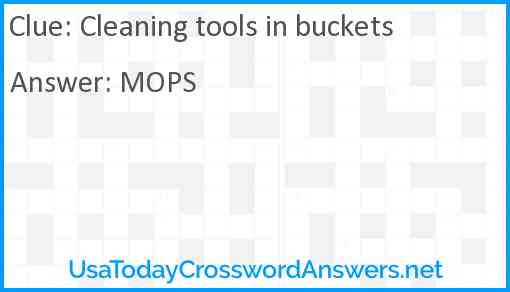 Cleaning tools in buckets Answer