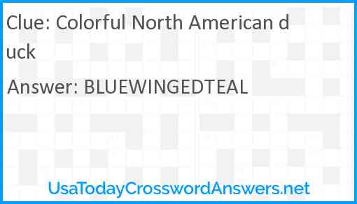 Colorful North American duck Answer